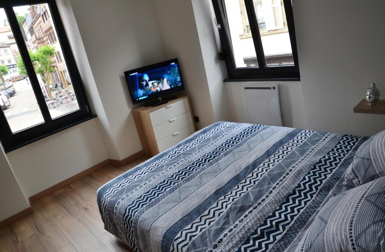 Le Cyclade, Appartement De Standing En Hyper-Centre. Sarreguemines Ngoại thất bức ảnh